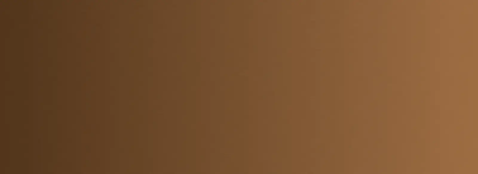 banner-2